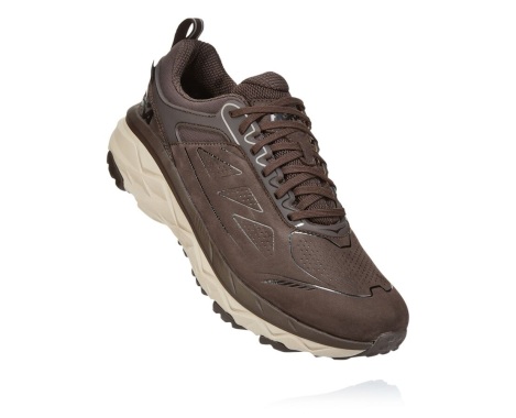 Trailove Tenisky Hoka One One Challenger Low GORE-TEX Panske Káva (20AVZDWBP)